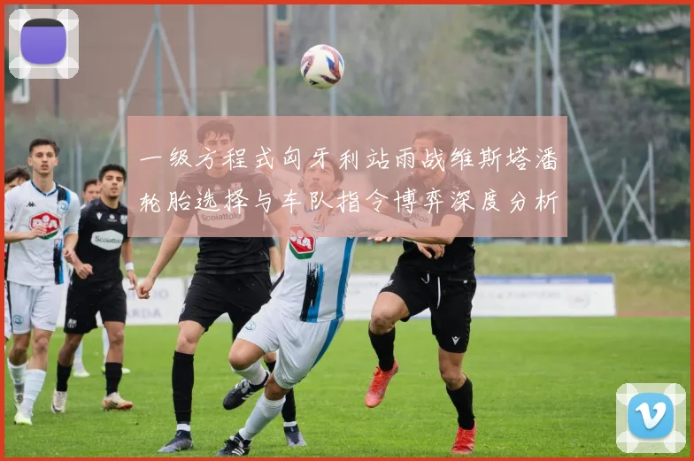 一级方程式匈牙利站雨战维斯塔潘轮胎选择与车队指令博弈深度分析