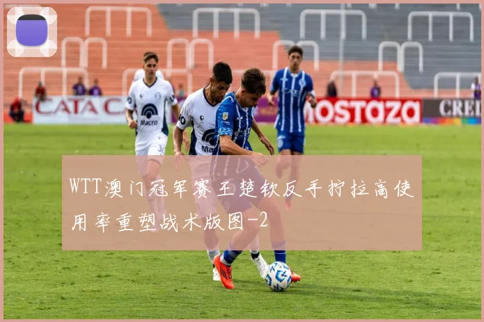 WTT澳门冠军赛王楚钦反手拧拉高使用率重塑战术版图