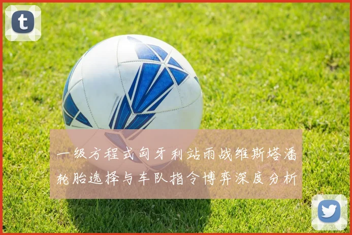 一级方程式匈牙利站雨战维斯塔潘轮胎选择与车队指令博弈深度分析